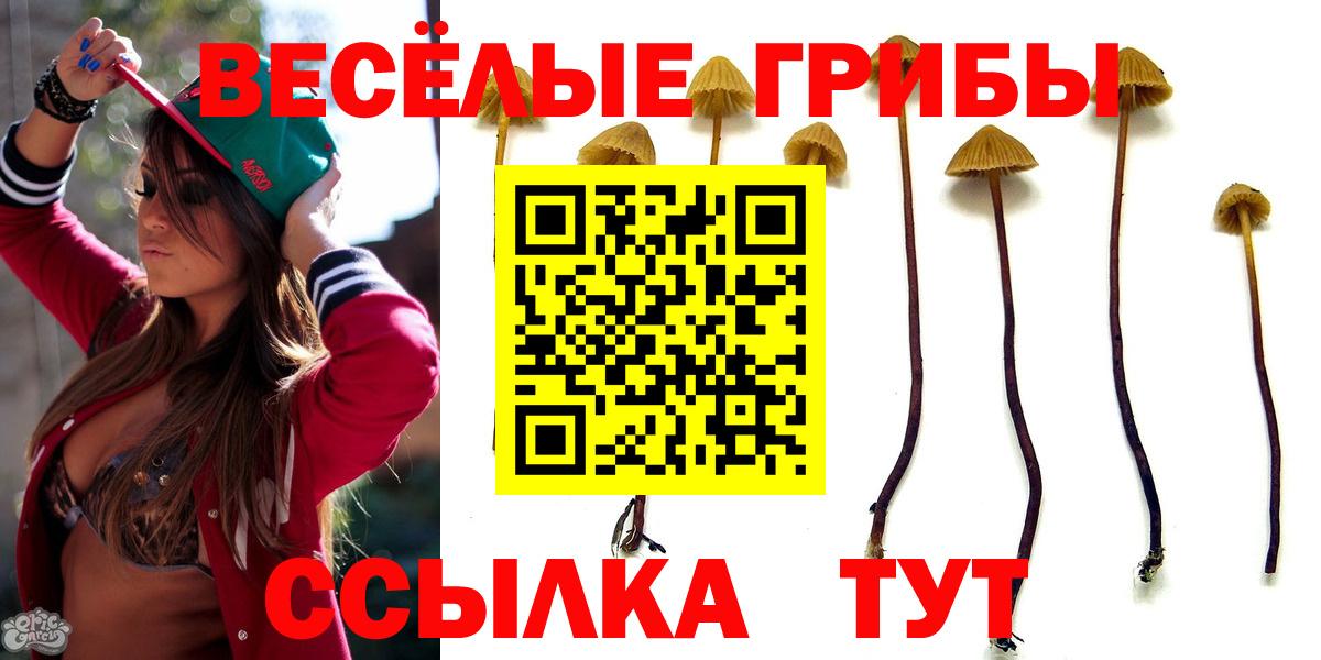 Галлюциногенные грибы Magic Shrooms Королёв