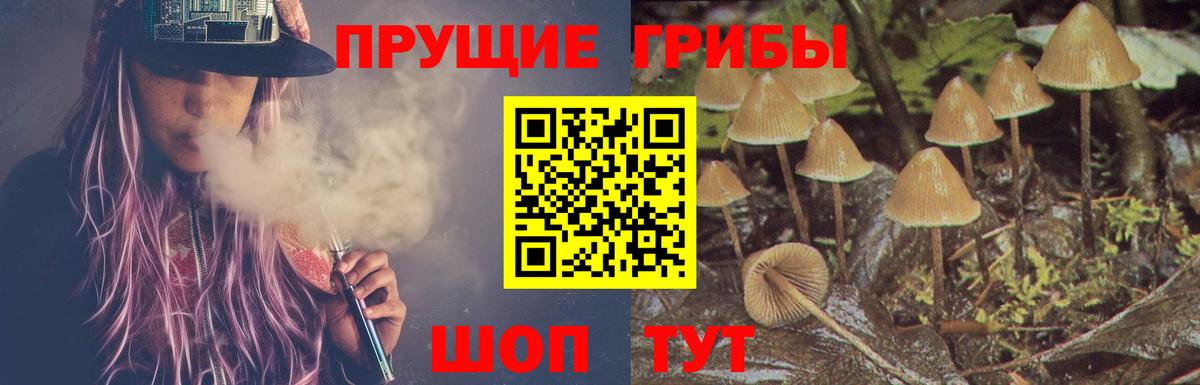 Псилоцибиновые грибы MAGIC MUSHROOMS  Вход с VPN  Королёв 